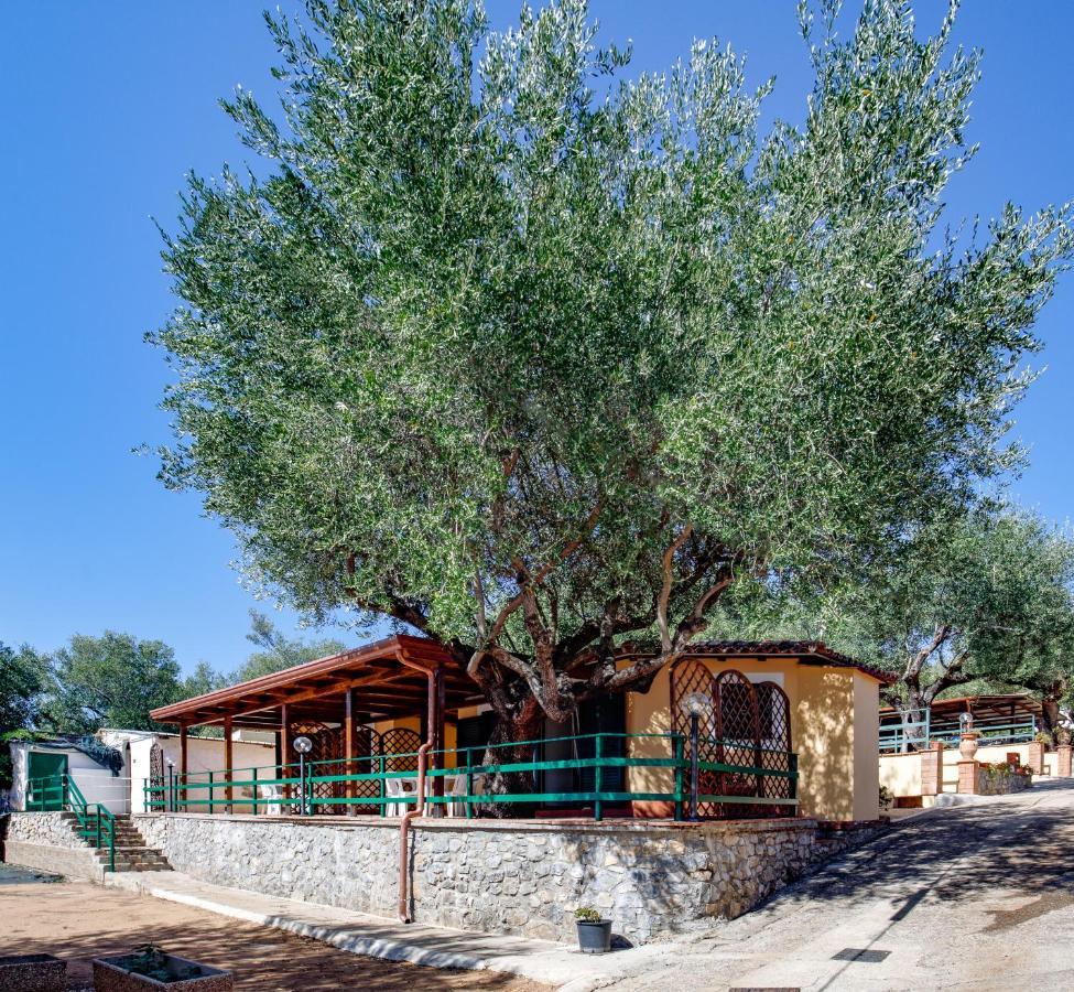 Villaggio Residence Pietra Grigia Marina di Camerota Extérieur photo